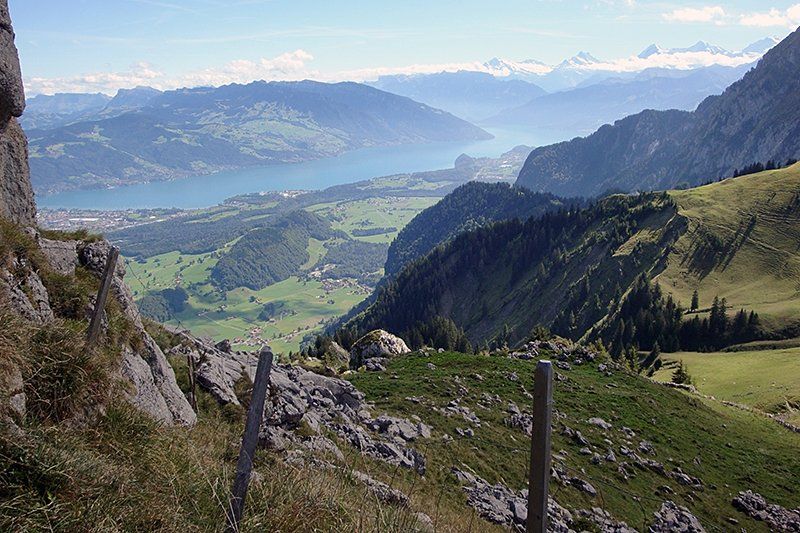 Spiezer Gschichtewyb