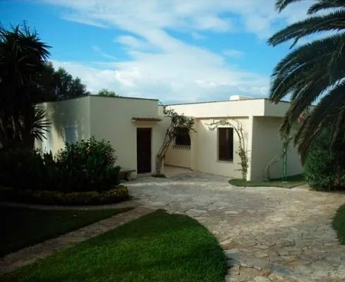 Una casa blanca con una palmera delante