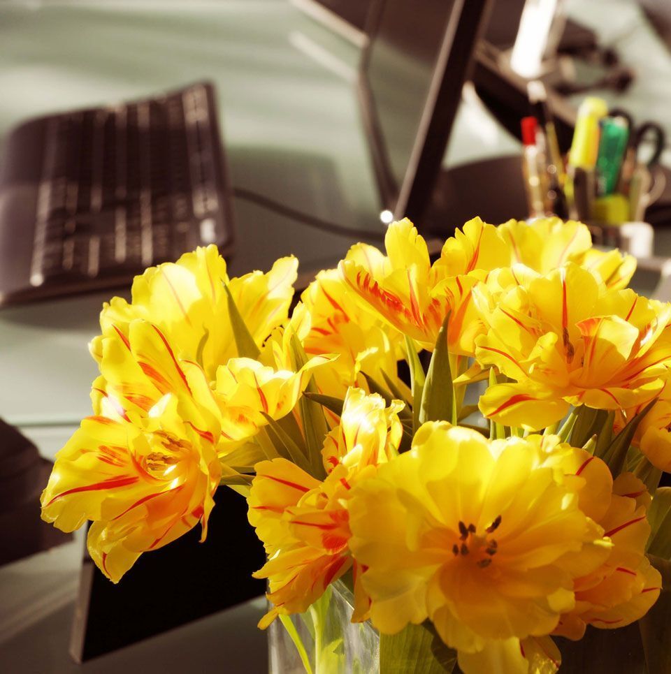 Rechtsanwältin Dr. Christiane Bardenheuer