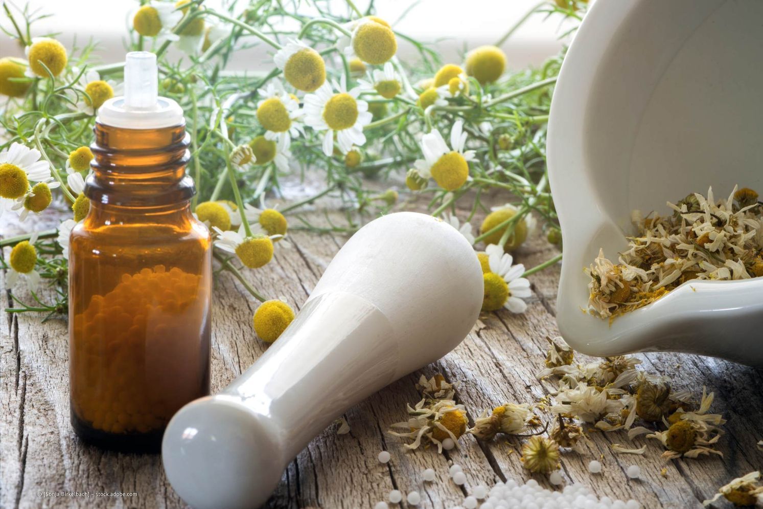 Innenraum der Praxis von Dr. med. Hans Baierl