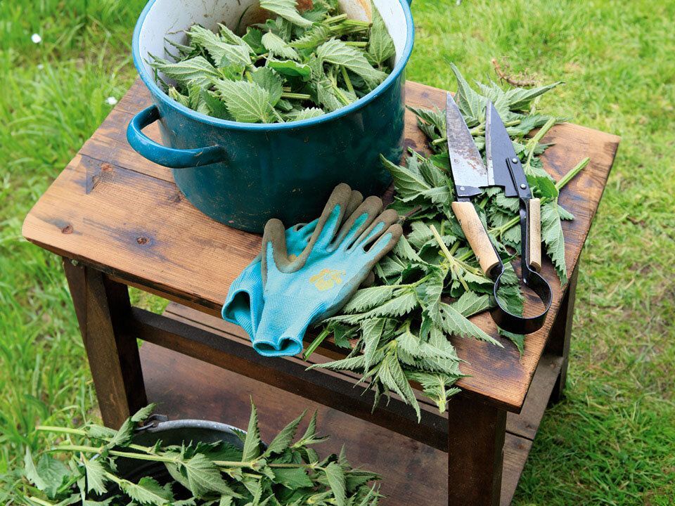 Buch: Biodünger/ Kosmos - Verlag