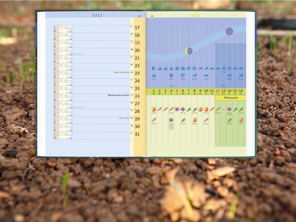 Buch: Aussaattage 2026 / Kosmos - Verlag