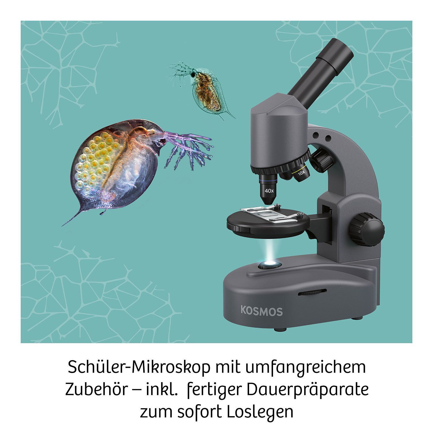 Mikroskopie: Mikroskop / Kosmos - Verlag