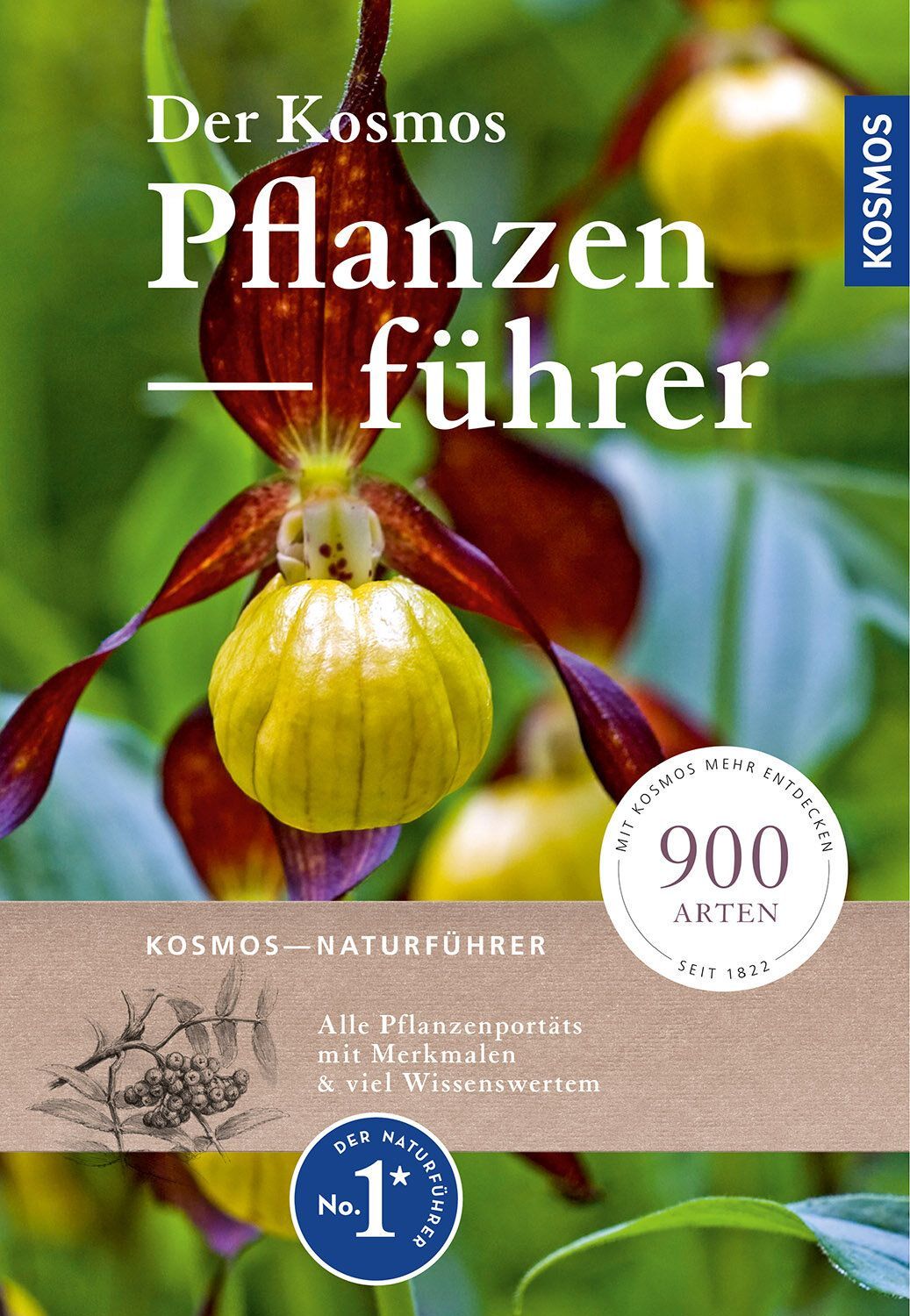 Buch: Pflanzen-führer / Kosmos - Verlag