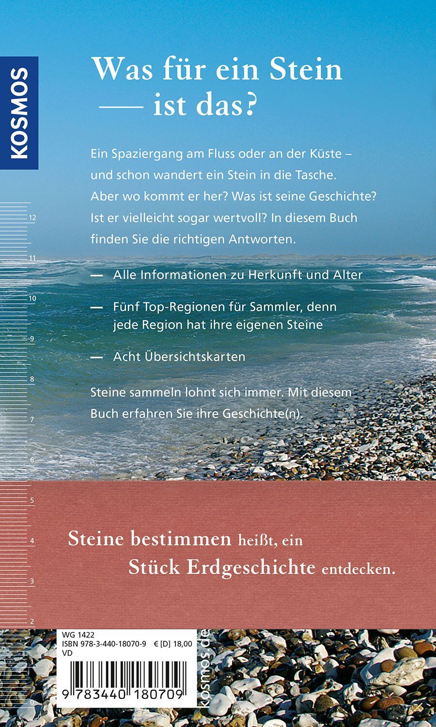 Buch: Steine an Fluss Strand und Küste / Kosmos - Verlag