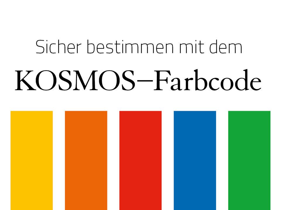 Buch: Der große Kosmos - Pilzführer / Kosmos - Verlag