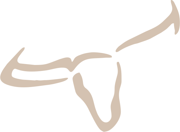 Eine stilisierte, beige Strichzeichnung der Silhouette eines Longhorn-Rinderschädels auf schlichtem weißen Hintergrund.