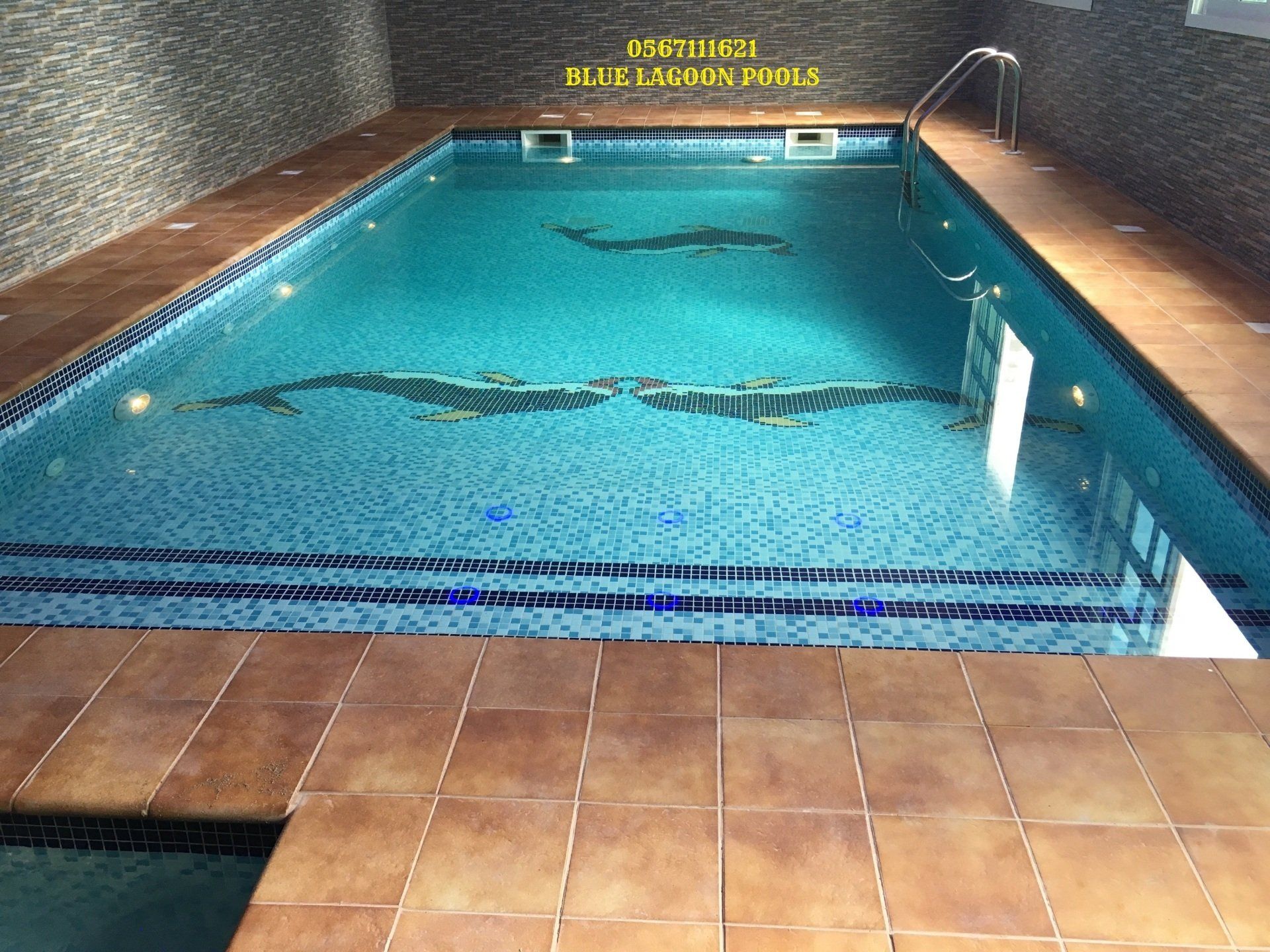 حمامات سباحة في الامارات