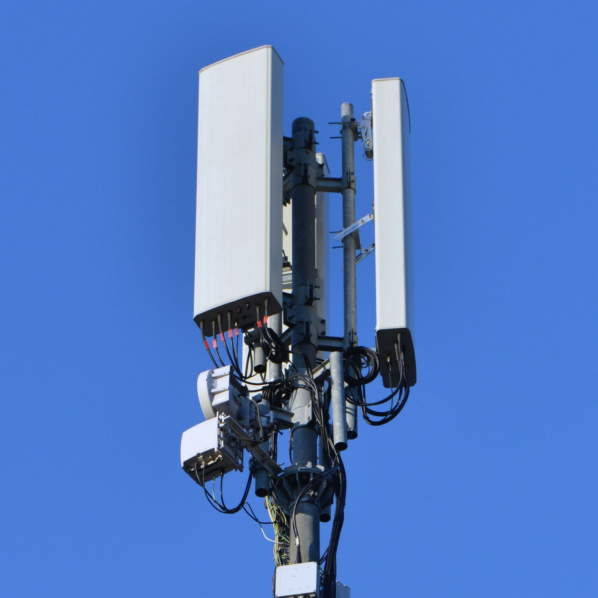 Antenne-relais avec panneaux rectangulaires blancs sur fond de ciel bleu.