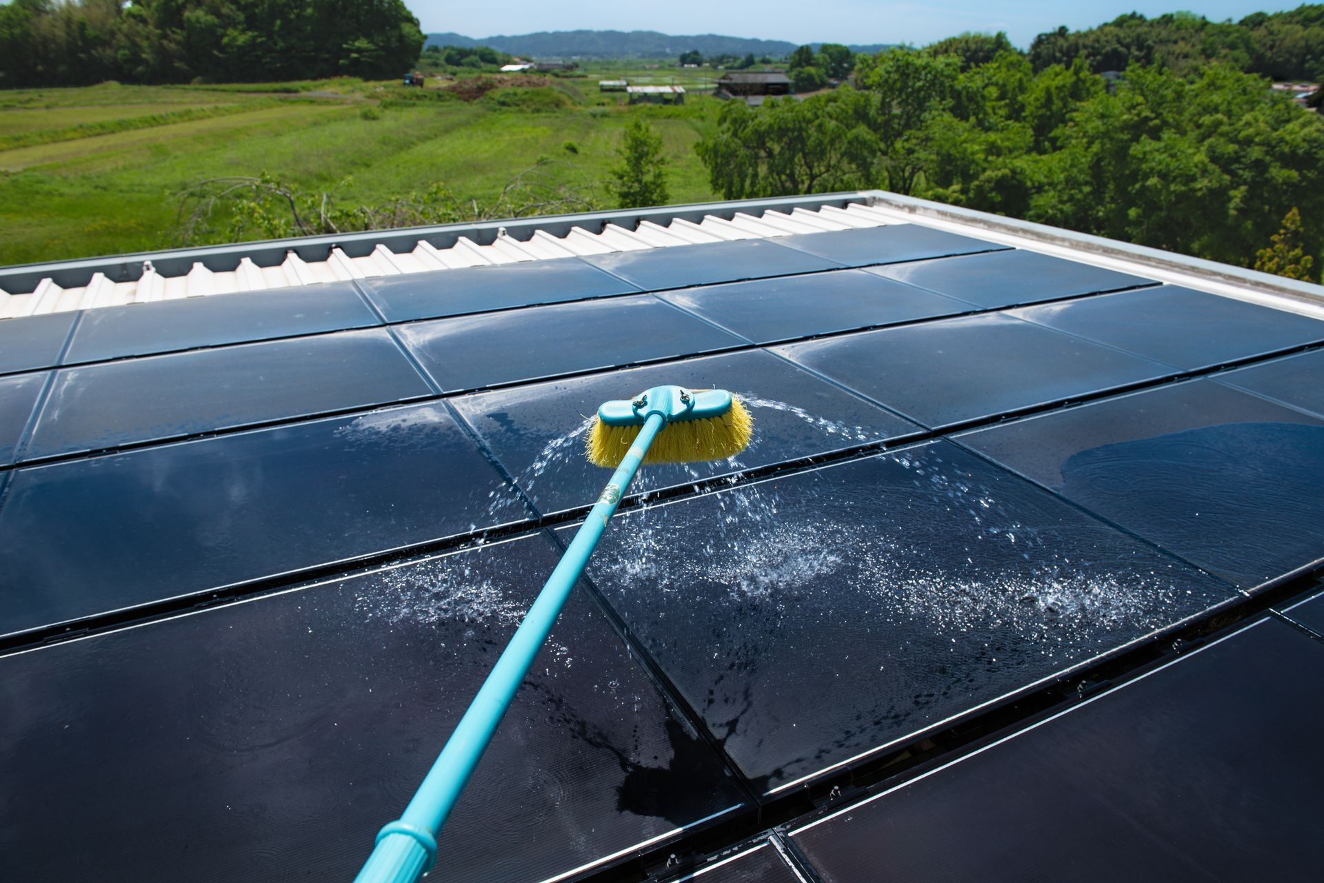 Détail d'une perche à eau avec un embout de brosse