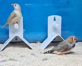 Dos pequeños pájaros están sentados en soportes blancos en la arena.