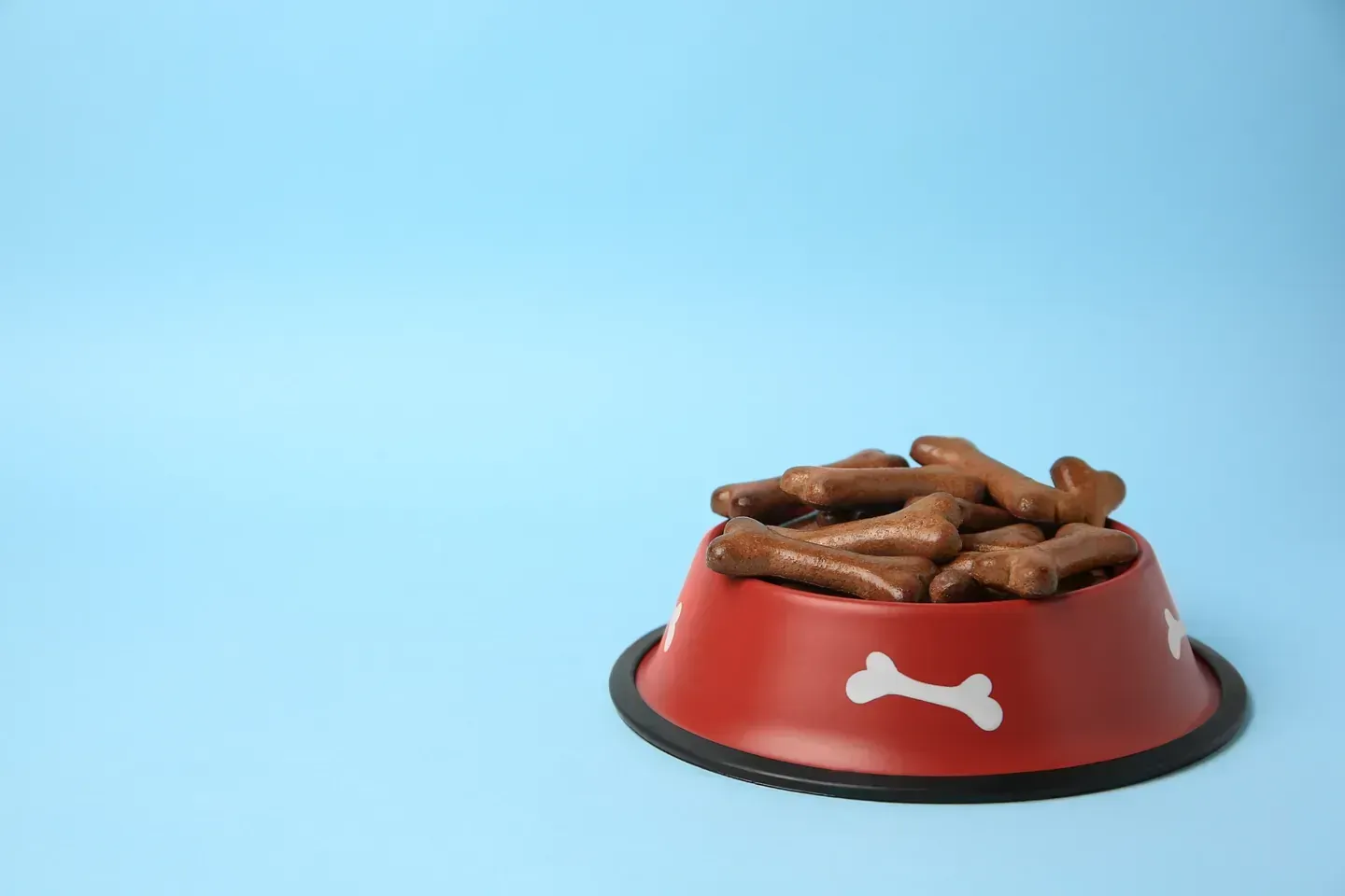 Un recipiente rojo lleno de golosinas para perros sobre un fondo azul.