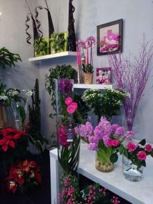 Chlorophylle : vente de fleurs coupées et compositions en Gironde (33)