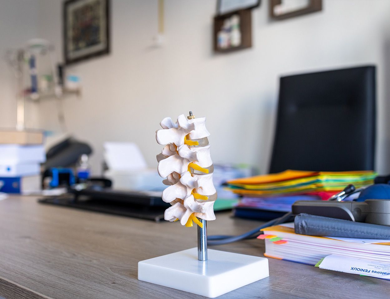 Maquette de vertèbre