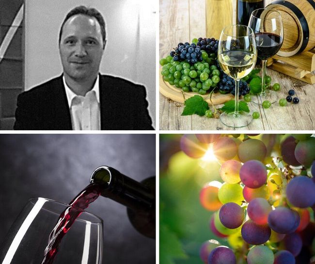 Galerie d'images : Benoit de Pauw, du vin et des raisins