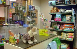 Mostrador de caja de una juguetería con animales de peluche y coloridos estantes de juguetes para mascotas.