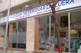 Fachada de una clínica veterinaria con letrero en español, ventanas de cristal y árboles delante.