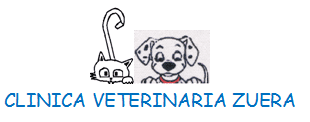 Logo de Cl&iacute;nica Veterinaria Zuera con gato y perro dibujados en blanco y negro, texto azul.