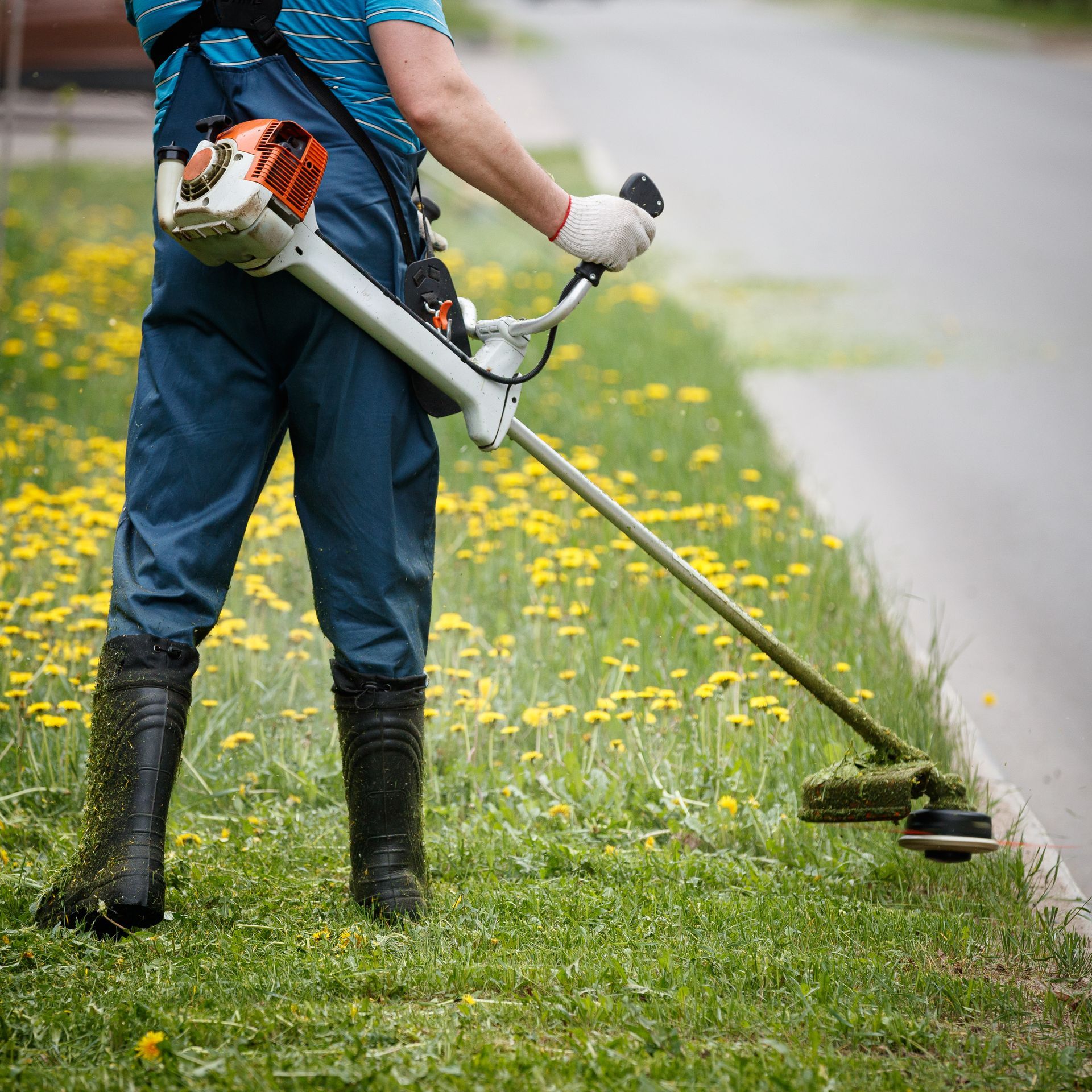 Une personne utilise un coupe-bordures pour couper l'herbe le long d'une route.