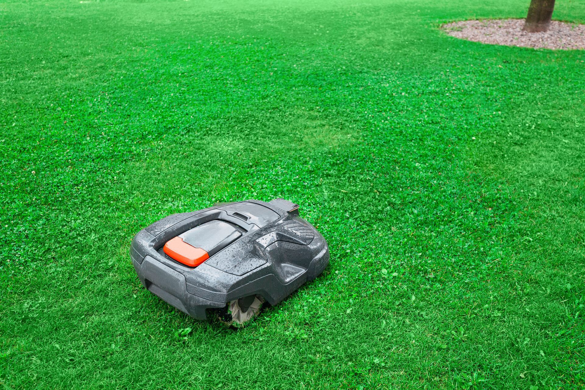 Petite tondeuse à gazon gris et orange sur de l'herbe verte près d'un tronc d'arbre