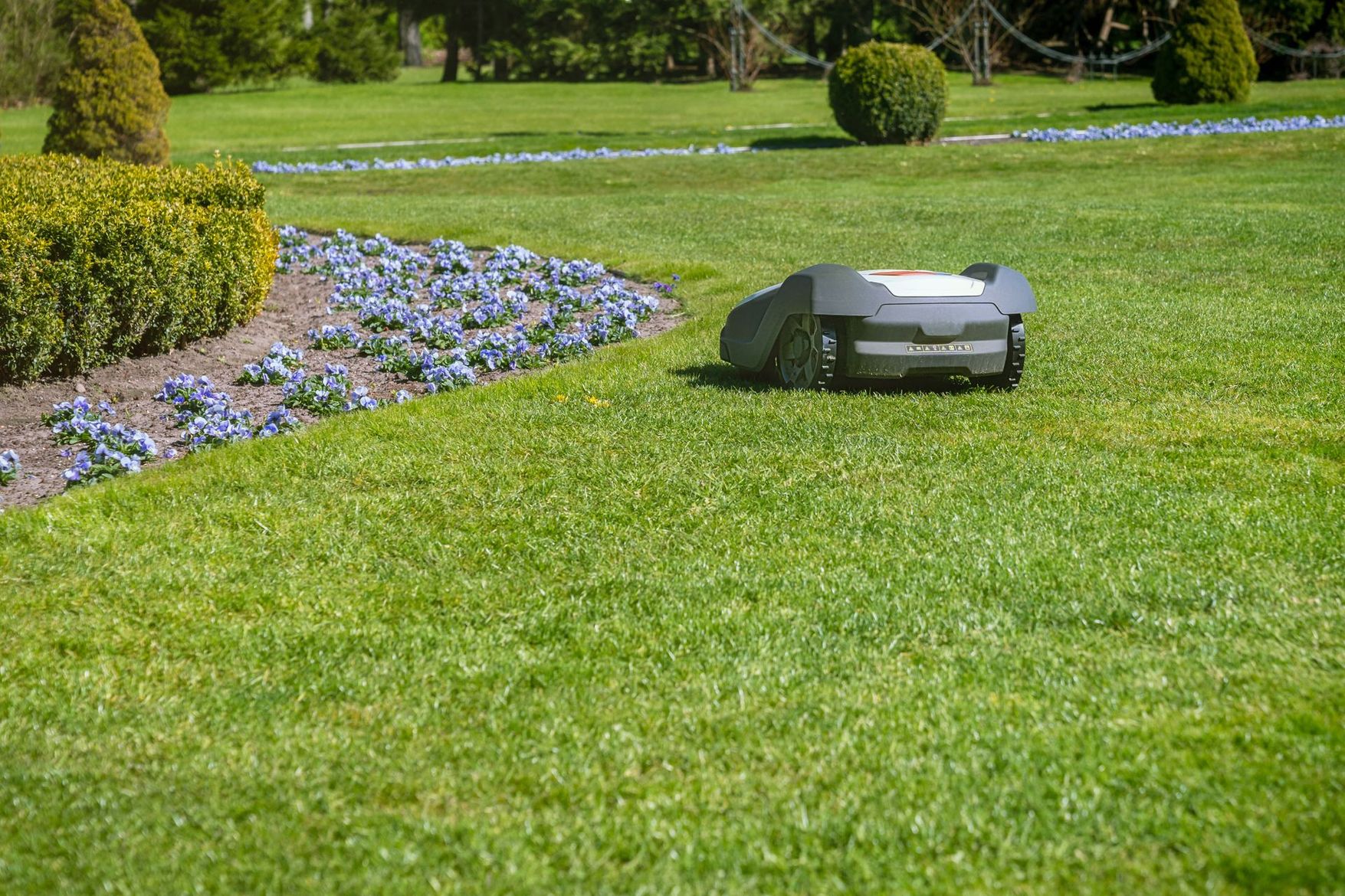 Tondeuse à gazon robotisée sur une pelouse verte, à côté d'un parterre de fleurs et d'arbustes.