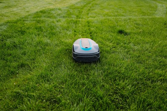 Tondeuse à gazon robotisée sur une pelouse verdoyante et luxuriante dans un jardin
