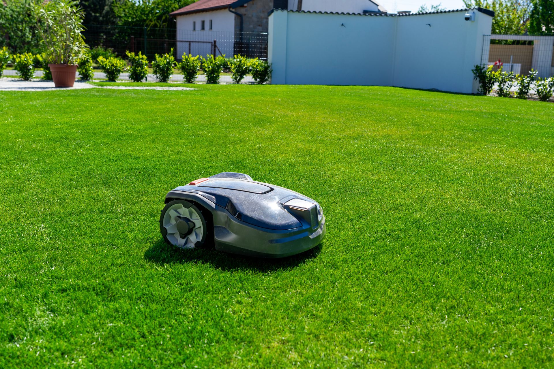 Petite tondeuse robot grise sur une pelouse d'un vert éclatant dans un jardin