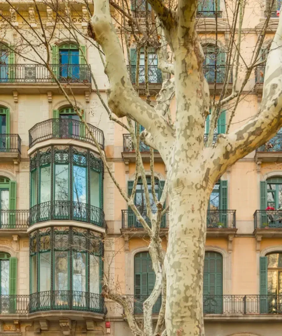 Un tronco de árbol se alza en primer plano frente a un edificio de apartamentos de varias plantas, de color beige