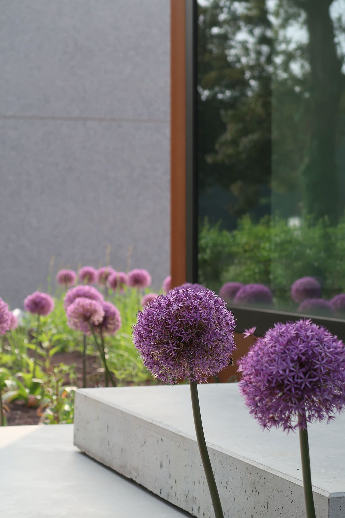 kantoor bessems staalarchitectuur