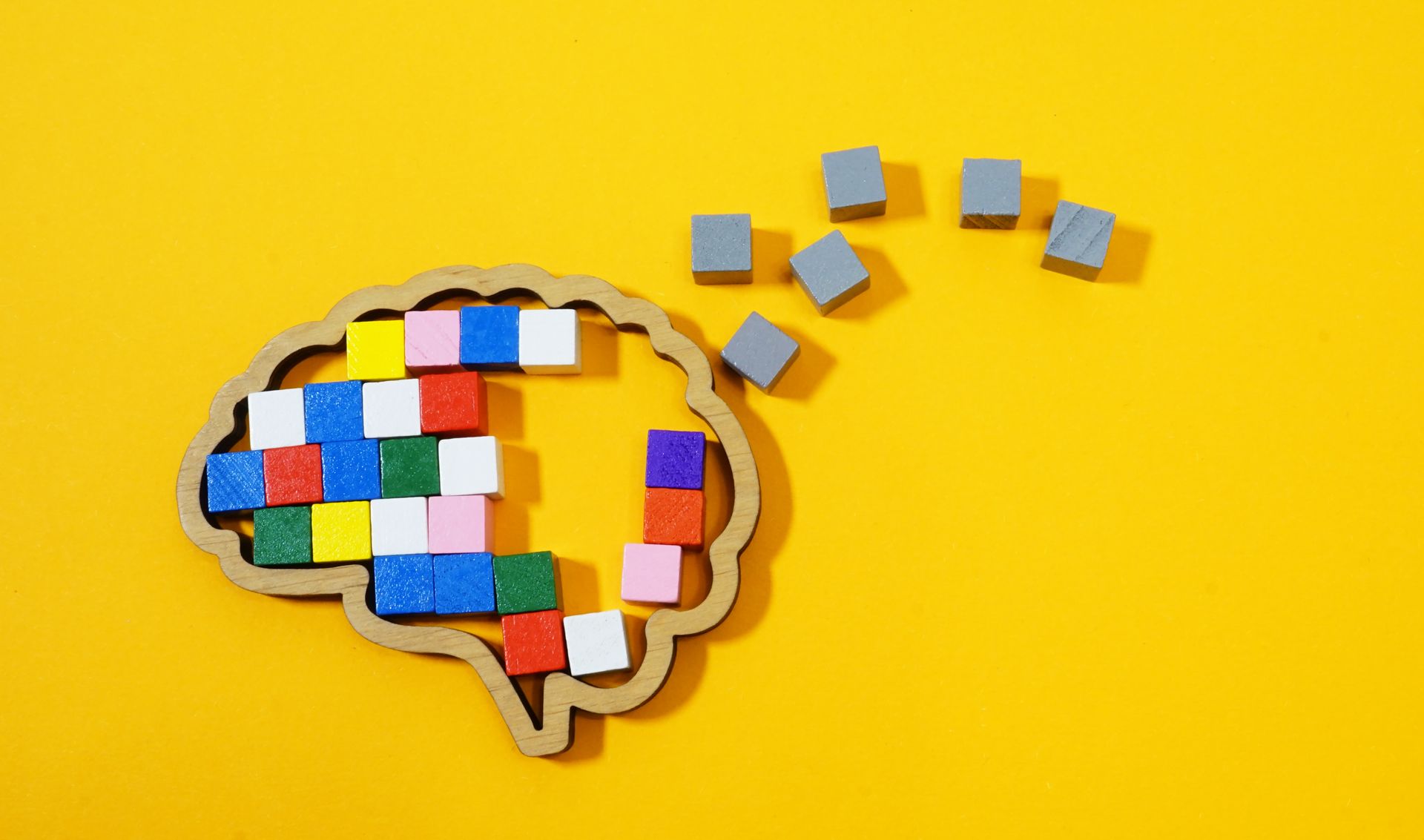 Des blocs forment la forme d'un cerveau, avec des morceaux éparpillés au-dessus.