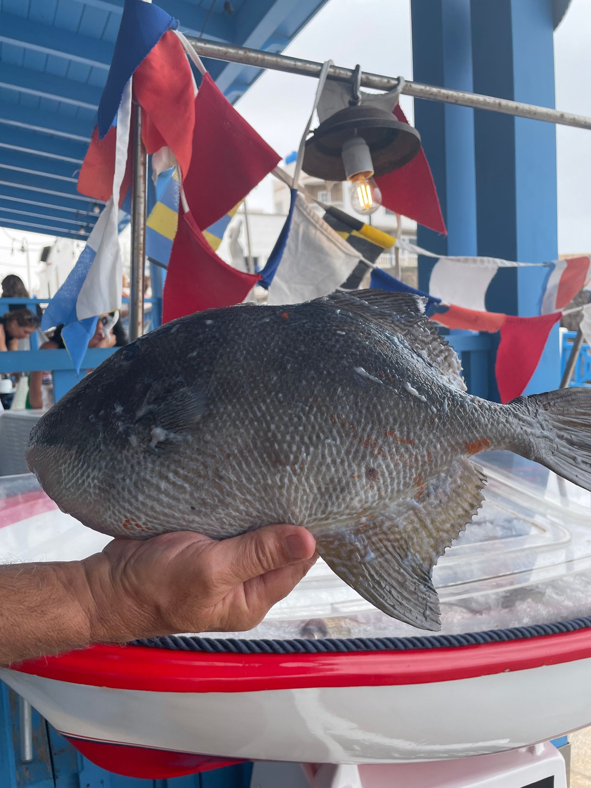 Una persona sostiene un pez grande en su mano.