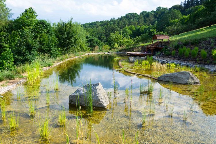 Construction de piscines naturelles en Suisse - SOS Piscines & SPAS