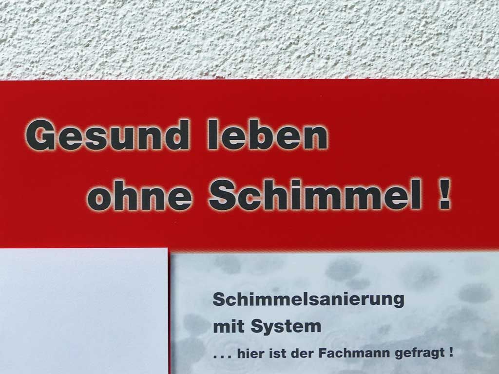 Gesund ohne Schimmel