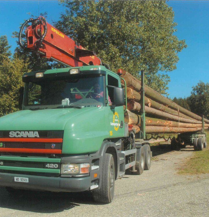 camion long-bois