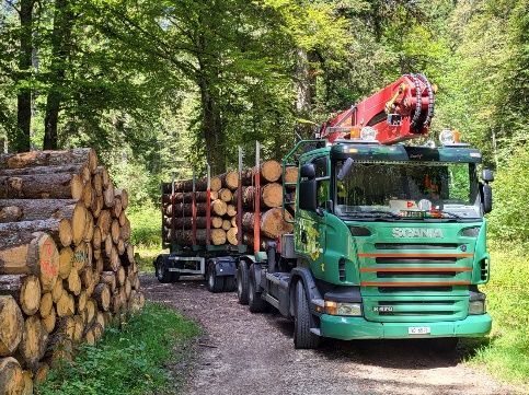 transport en camion long-bois