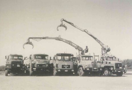 flotte de camions grue