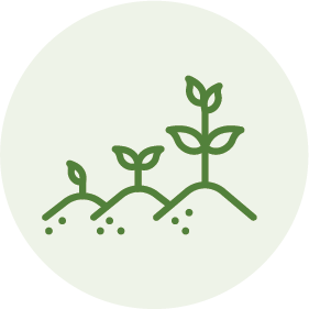 Sustainable growth in productivity