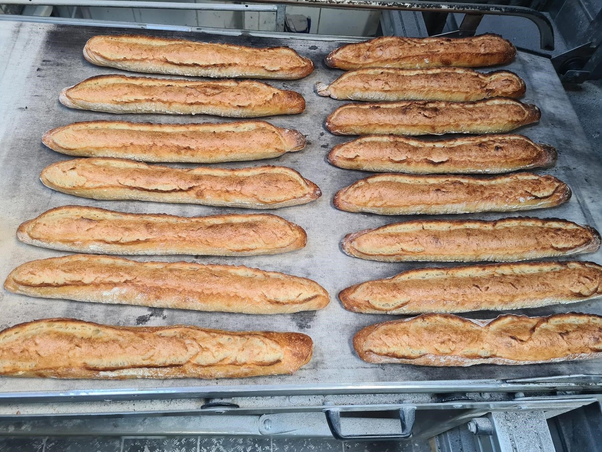 Baguettes après cuisson