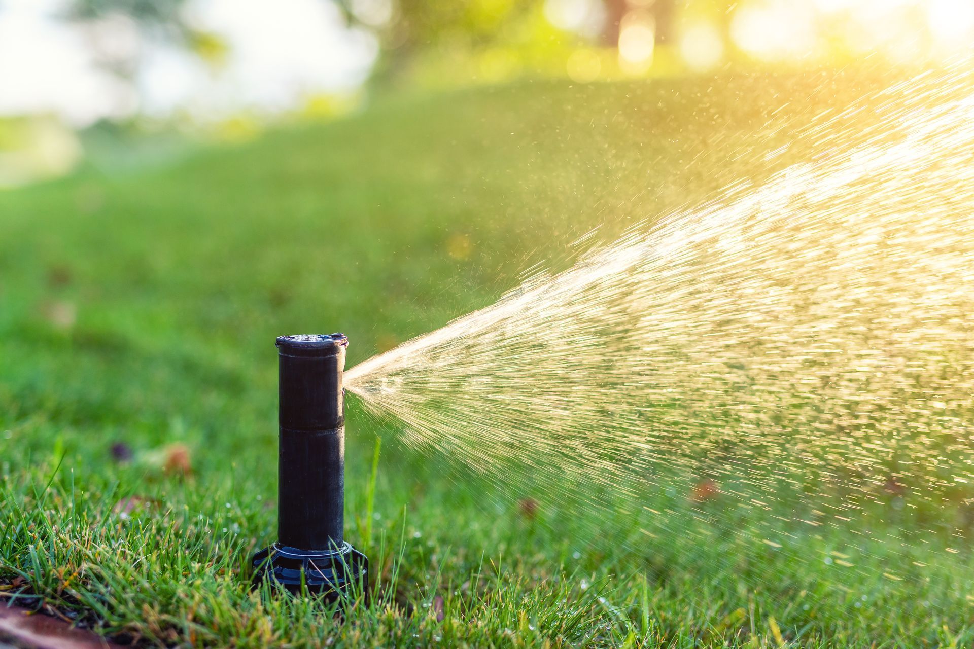 Un arrosage automatique qui fait jaillir de l'eau.