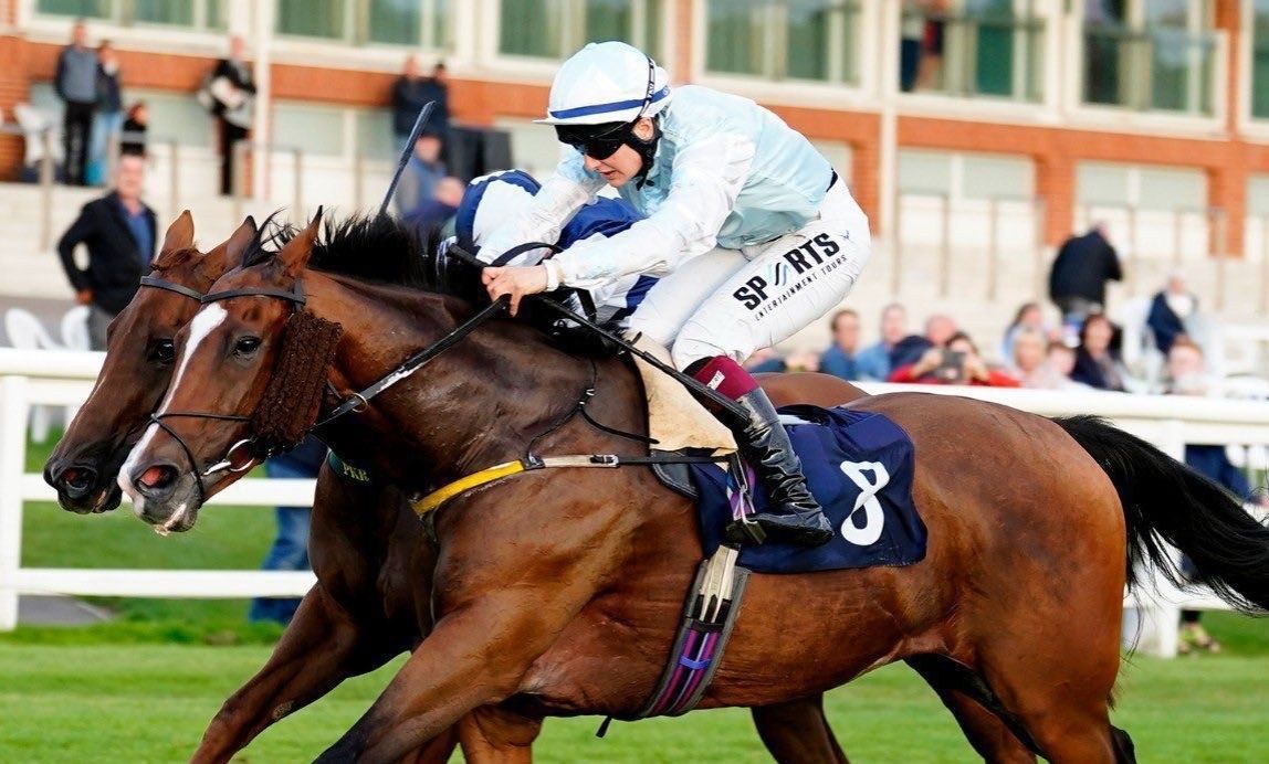 Horse Racing | Sports Entertainment Tours