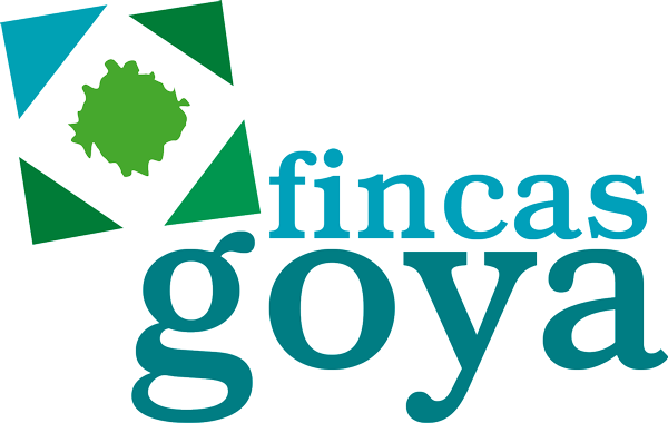 logotipo cabecera