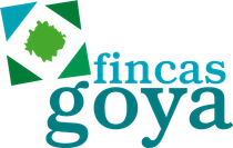logotipo cabecera