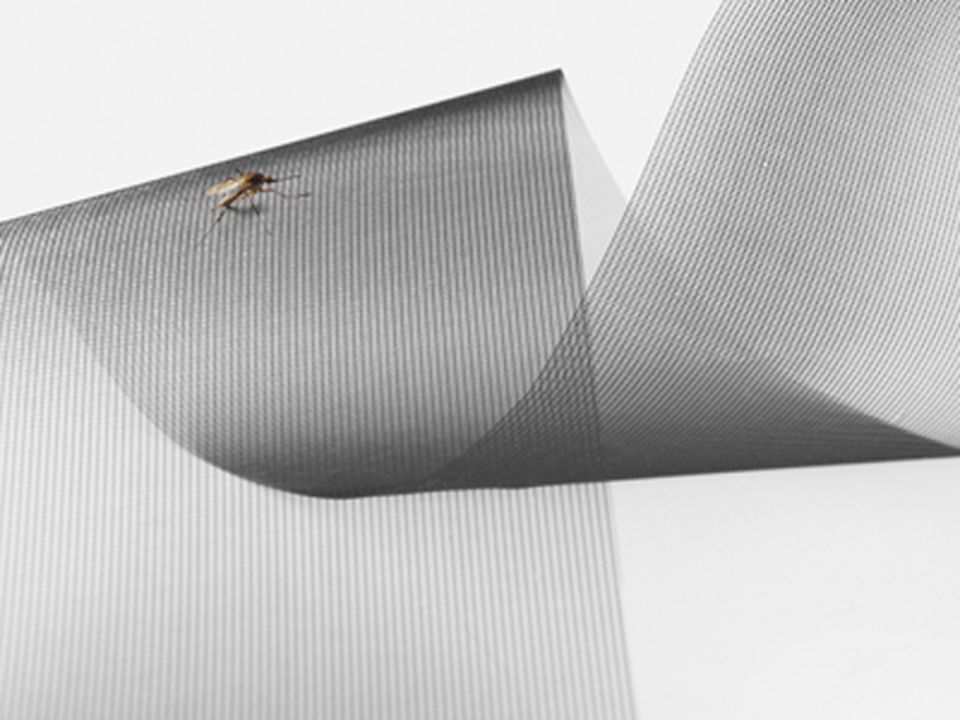 Fliegengitter von Danner Sonnenschutz