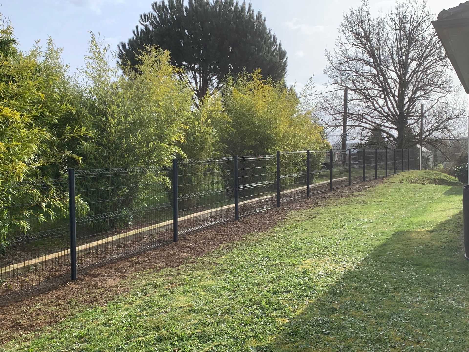 Un jardin et des arbres.