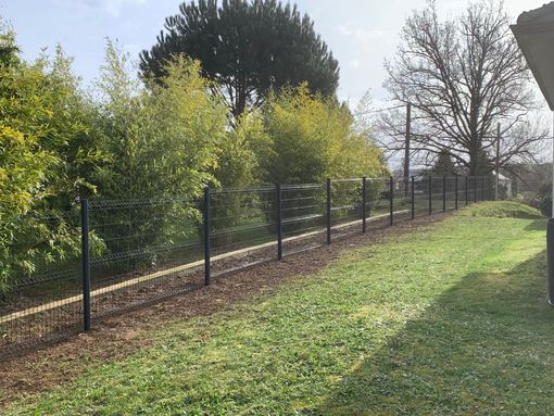 Un jardin et des arbres.