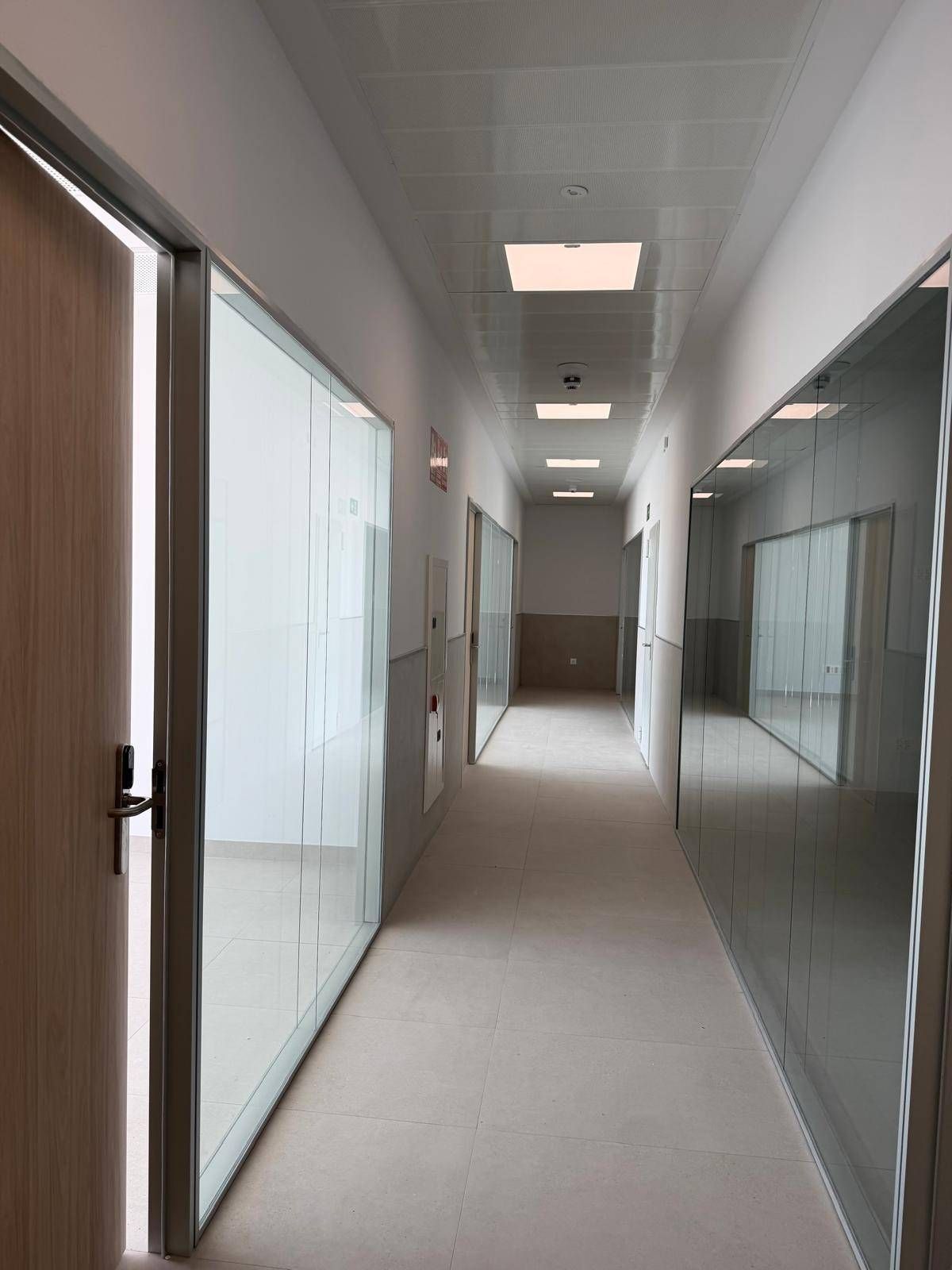 Pasillo largo y luminoso con paredes de cristal, puertas e iluminación empotrada.