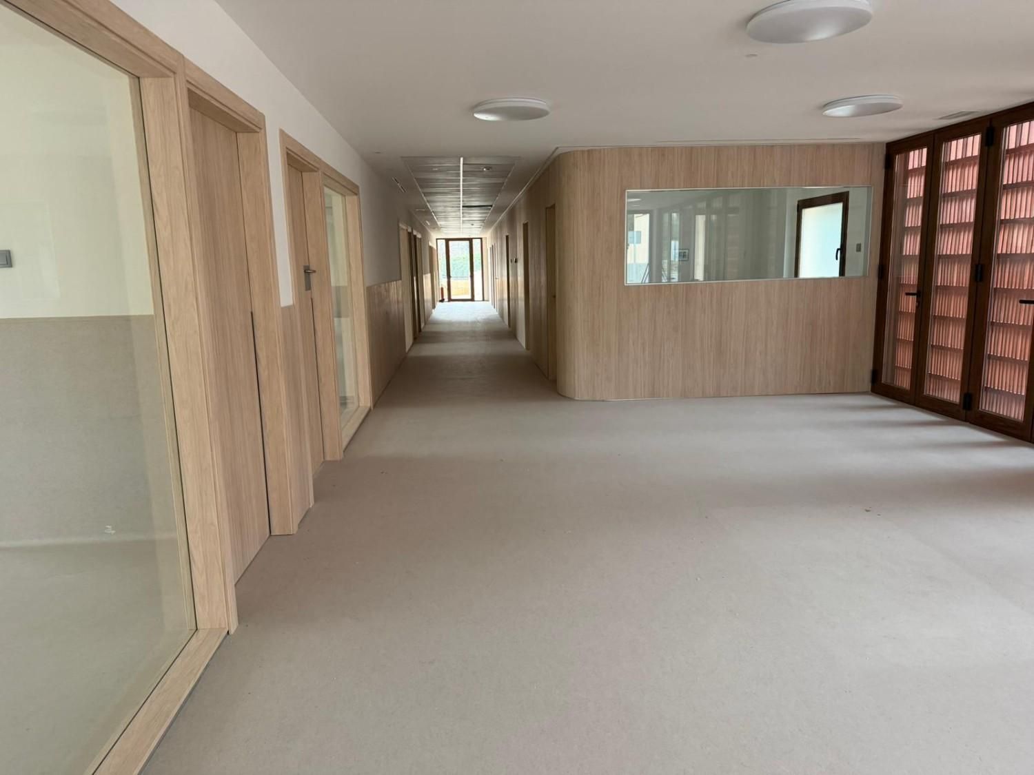 Pasillo largo con puertas y paredes de madera clara, piso gris pálido, iluminación empotrada y una ventana.