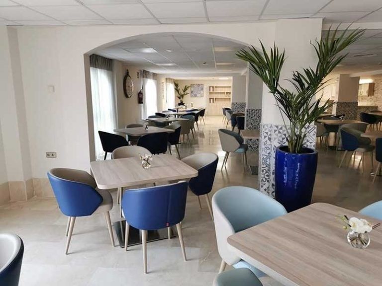 Vista interior de un café con mesas y sillas azules, arcos y una gran planta en maceta.