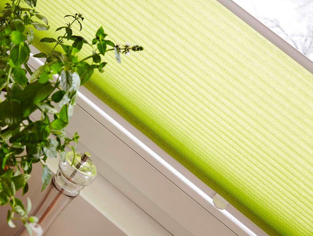 Wabenplissees - 3 Team Liechti - Subingen