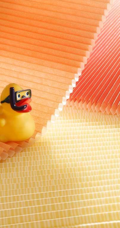 Wabenplissees - 3 Team Liechti - Subingen